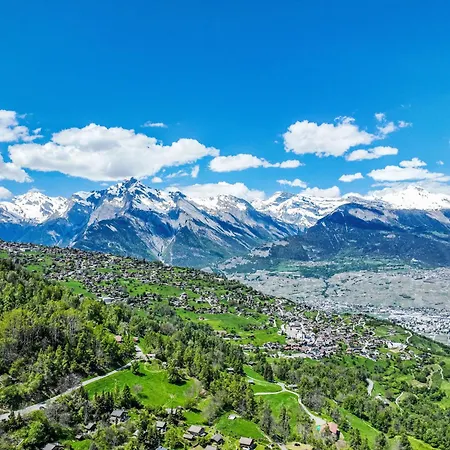 Woovim 8 By Interhome Chalet Nendaz